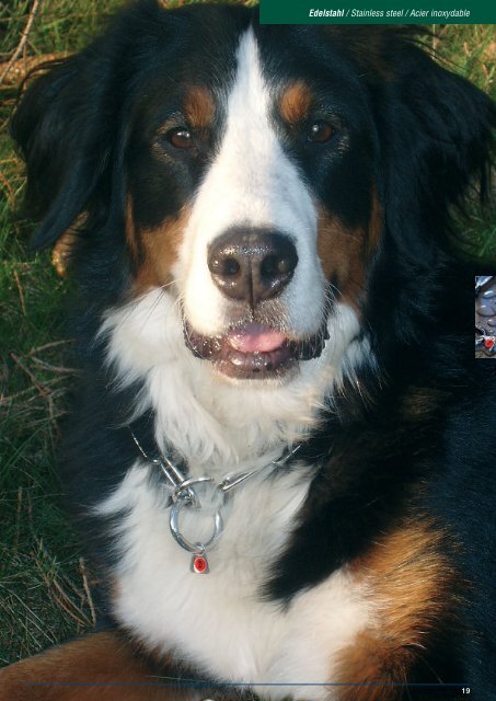 Sprenger Hund Katalog 2008-10