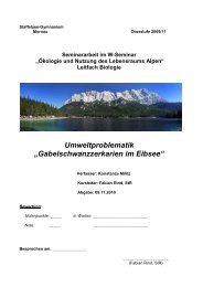 Gabelschwanzzerkarien im Eibsee - Garmisch-Partenkirchen ...