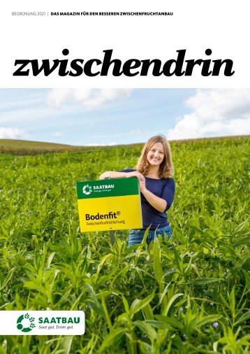 Zwischendrin