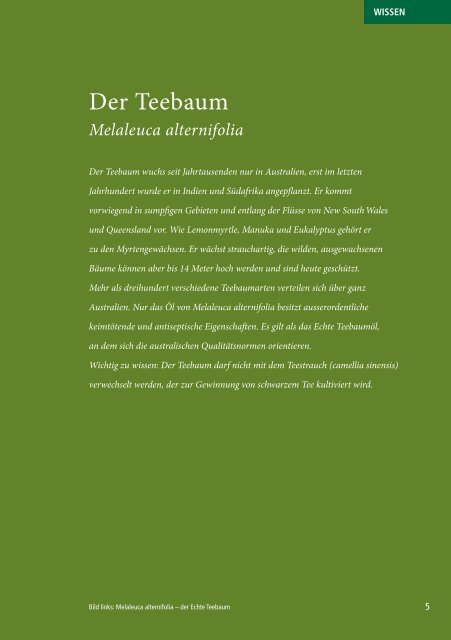 Teebaum – Eine Reise nach Down Under