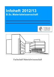 Infoheft 2012/13 B.Sc.Materialwissenschaft - Materialwissenschaften ...
