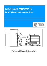 Institute Of Materials Science Technische Universitat Darmstadt