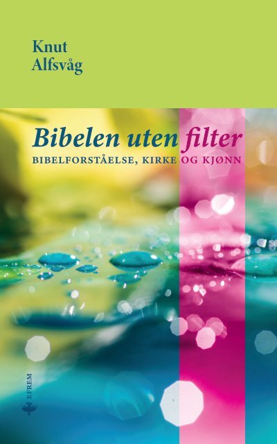 Bibelen uten filter : Bibelforstålse, kirke og kjønn 