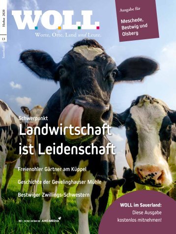 WOLL Magazin Meschede, Bestwig, Olsberg // Herbst 2020