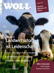 WOLL Magazin Warstein, Möhnesee, Rüthen // Herbst 2020