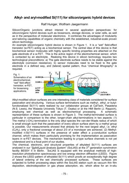 Electronic Material Properties - und Geowissenschaften ...