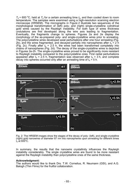 Electronic Material Properties - und Geowissenschaften ...