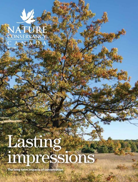 Fall Magazine 2020