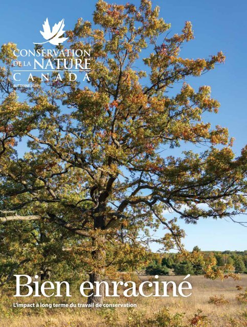 Magazine automne 2020