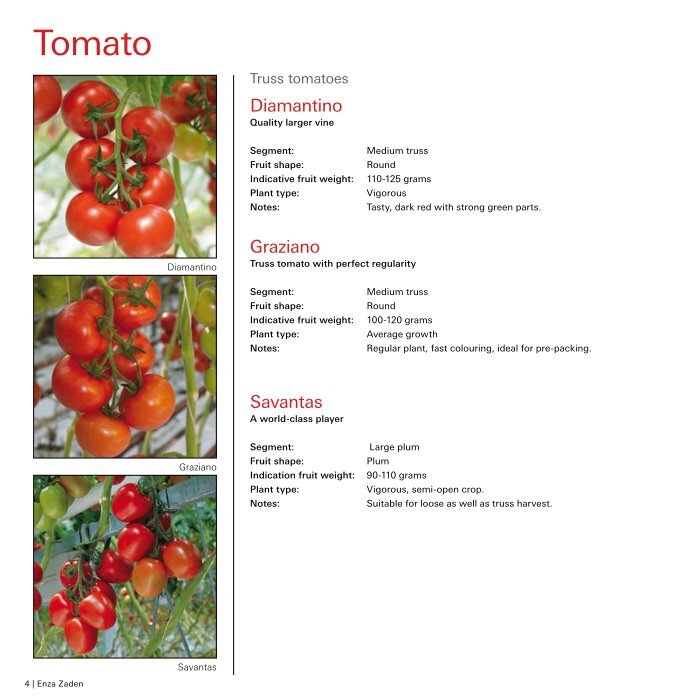 tomato-brochure-uk-2021.jpg?