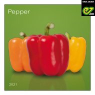 Pepper brochure 2021