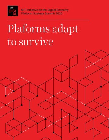 2020 MIT Platform Report