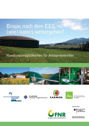 Leitfaden Biogas nach dem EEG – (wie) kann’s weitergen?