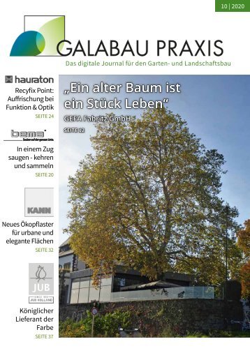 GALABAU PRAXIS 10 2020