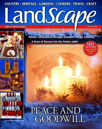 LandScape Dec issue MINI MAG