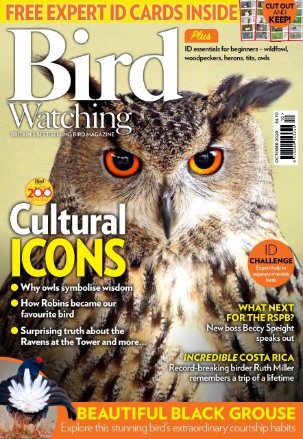 Bird Watching mini-mag October 20
