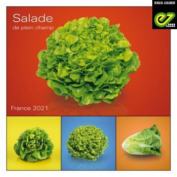 Brochure salade de plein champ 2021