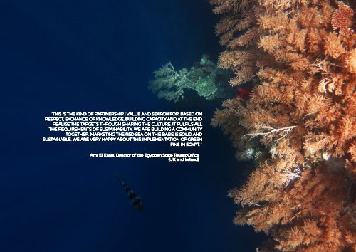 The Reef-World Foundation Annual Report 2019-2020