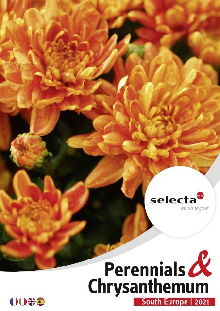 Selecta Perennials and Chrysanthemum South Europe 2021