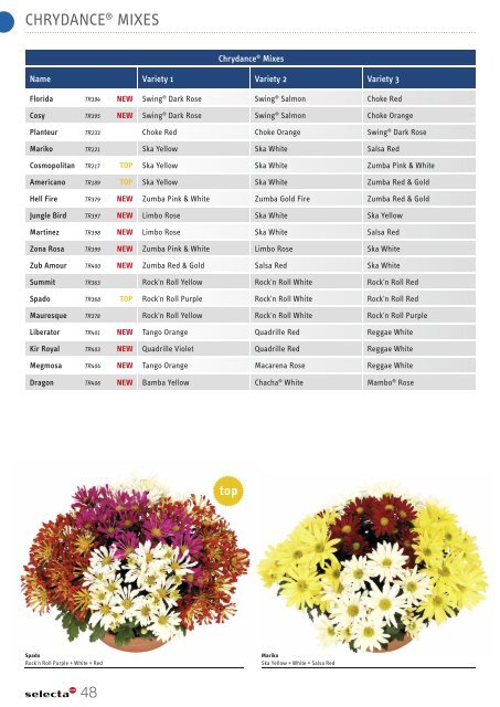 Selecta Perennials and Chrysanthemum South Europe 2021