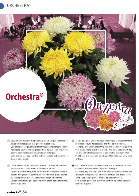 Selecta Perennials and Chrysanthemum South Europe 2021