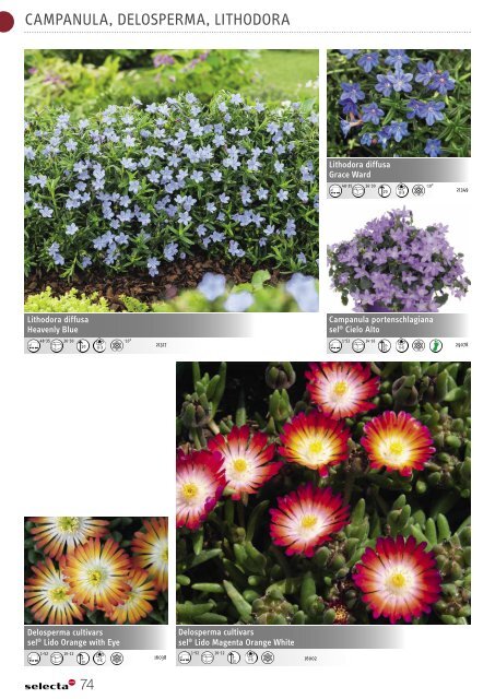 Selecta Perennials and Chrysanthemum South Europe 2021