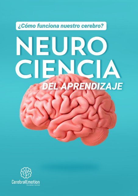 PLAN DE ESTUDIO - NEUROCIENCIA