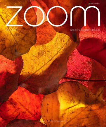 ZOOM | Fall 2020