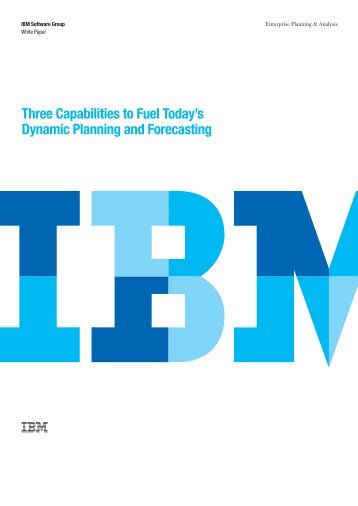 IBM Cognos TM1 White Paper - Software-Entwicklung Gebauer