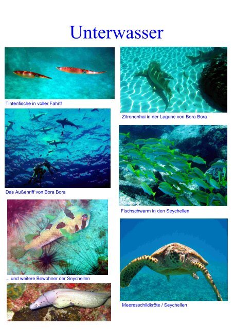 Seychellen 2008 - Segel und Tauchreisen