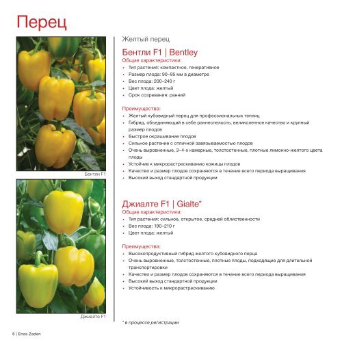 Brochure Pepper-eggplant_2020 