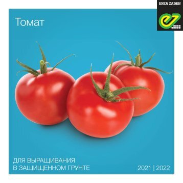 Brochure Tomato 2020 