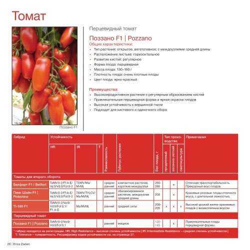 Brochure Tomato 2020 