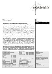 Mitteilungsblatt Nr. 1 vom 3. Januar 2011 (pdf - Gemeinde ...