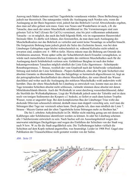 Skript Fritz Bicher 1928 - Geologie Lüneburg