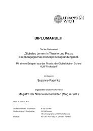 DIPLOMARBEIT - Südwind Entwicklungspolitik