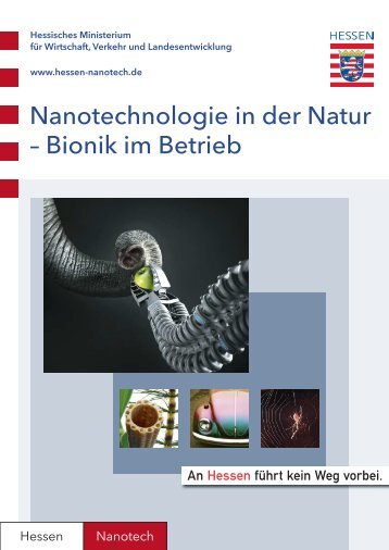 Nanotechnologie in der Natur - Bionik im Betrieb