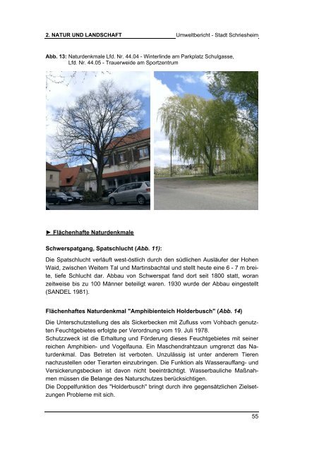 2. Natur und Landschaft 2.1 Naturräumliche ... - Stadt Schriesheim