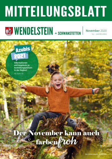 Wendelstein + Schwanstetten - November 2020