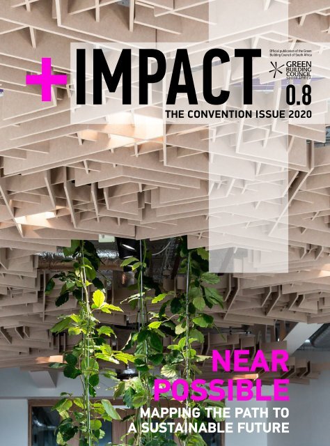 POSITIVE IMPACT ISSUE 0.8