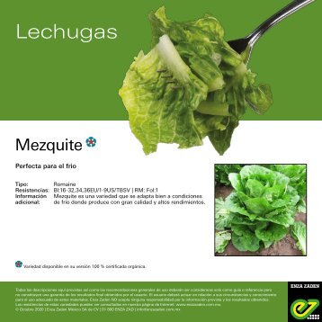 leaflet Mezquite 2020