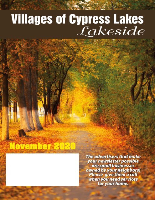 VCL Lakeside November 2020