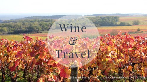 Wine & Travel (ワインと旅行）　ブルゴーニュ＆ボジョレ・ヌーヴォー編