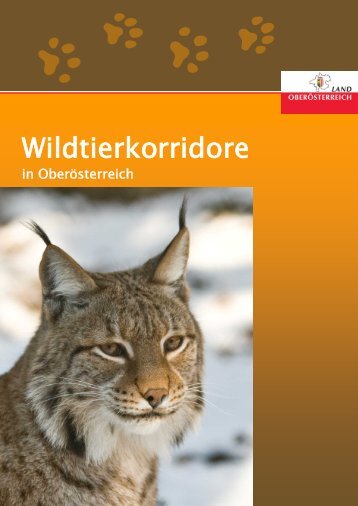 Wildtierkorridore - Oö. Umweltanwaltschaft