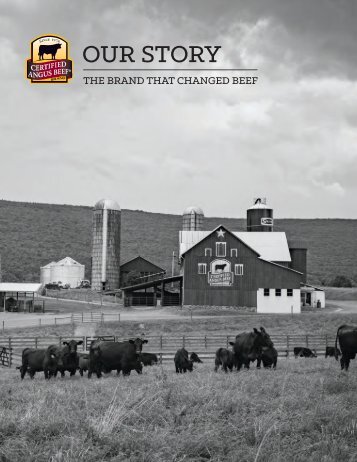 Our Story - The brand that changed beef