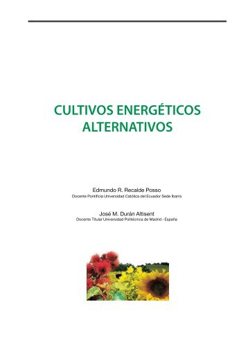 CULTIVOS ENERGÉTICOS ALTERNATIVOS - PUCE-SI