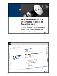 SAP NetWeaver™ & Enterprise Services ... - LPZ E-BUSINESS