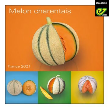 Catalogue melon 2021
