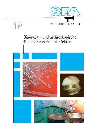 Publikation zum Download (PDF 524 KB) - SFA - Stiftung zur ...
