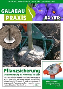 GALABAU PRAXIS 04 2013